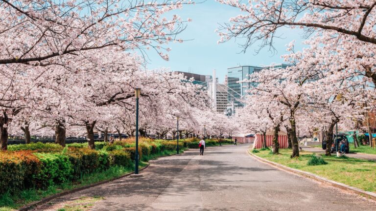 O que fazer em Osaka: atrações, gastronomia e roteiro pelo Japão
