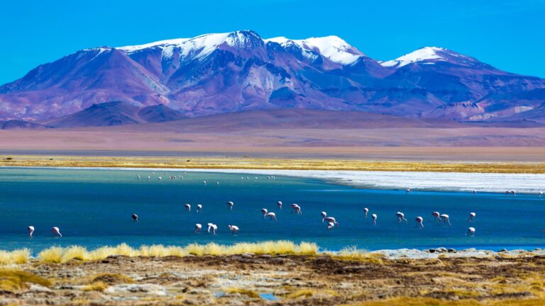 Viagem ao Deserto do Atacama: roteiro, passeios e dicas para planejar